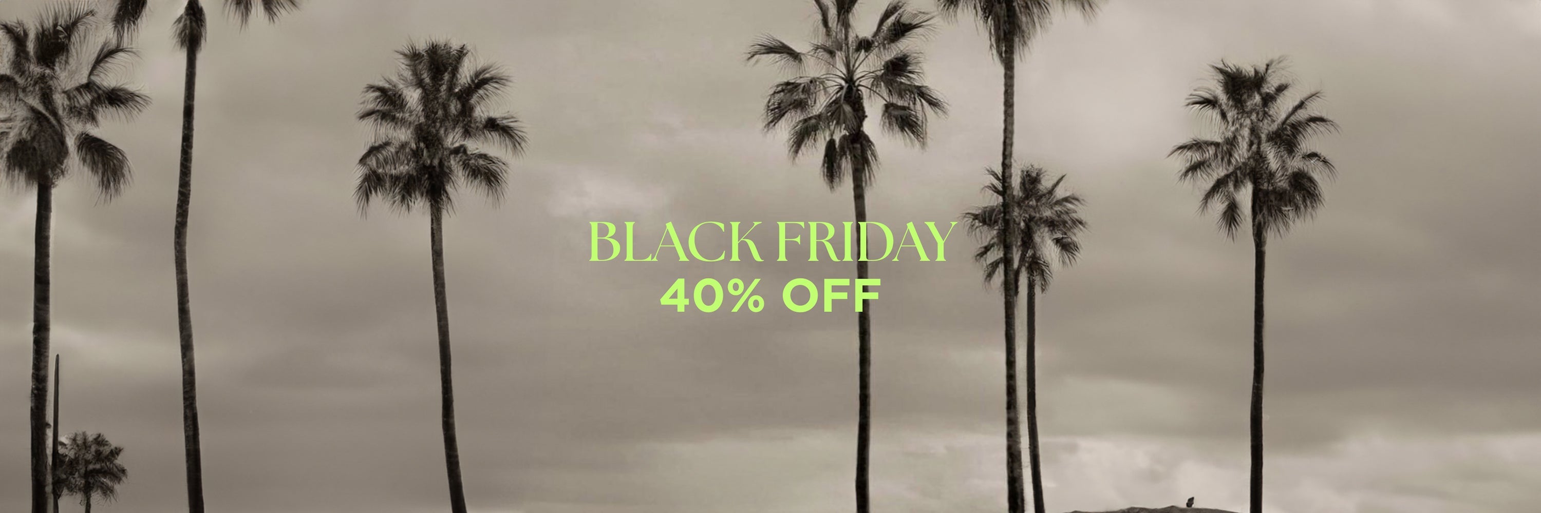 Black Friday 40% Off