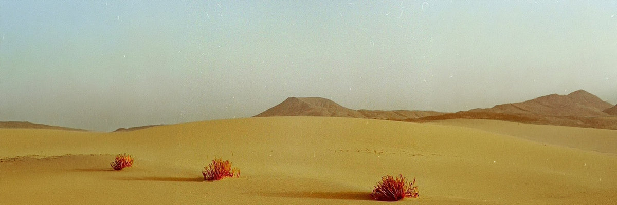 SAIAS