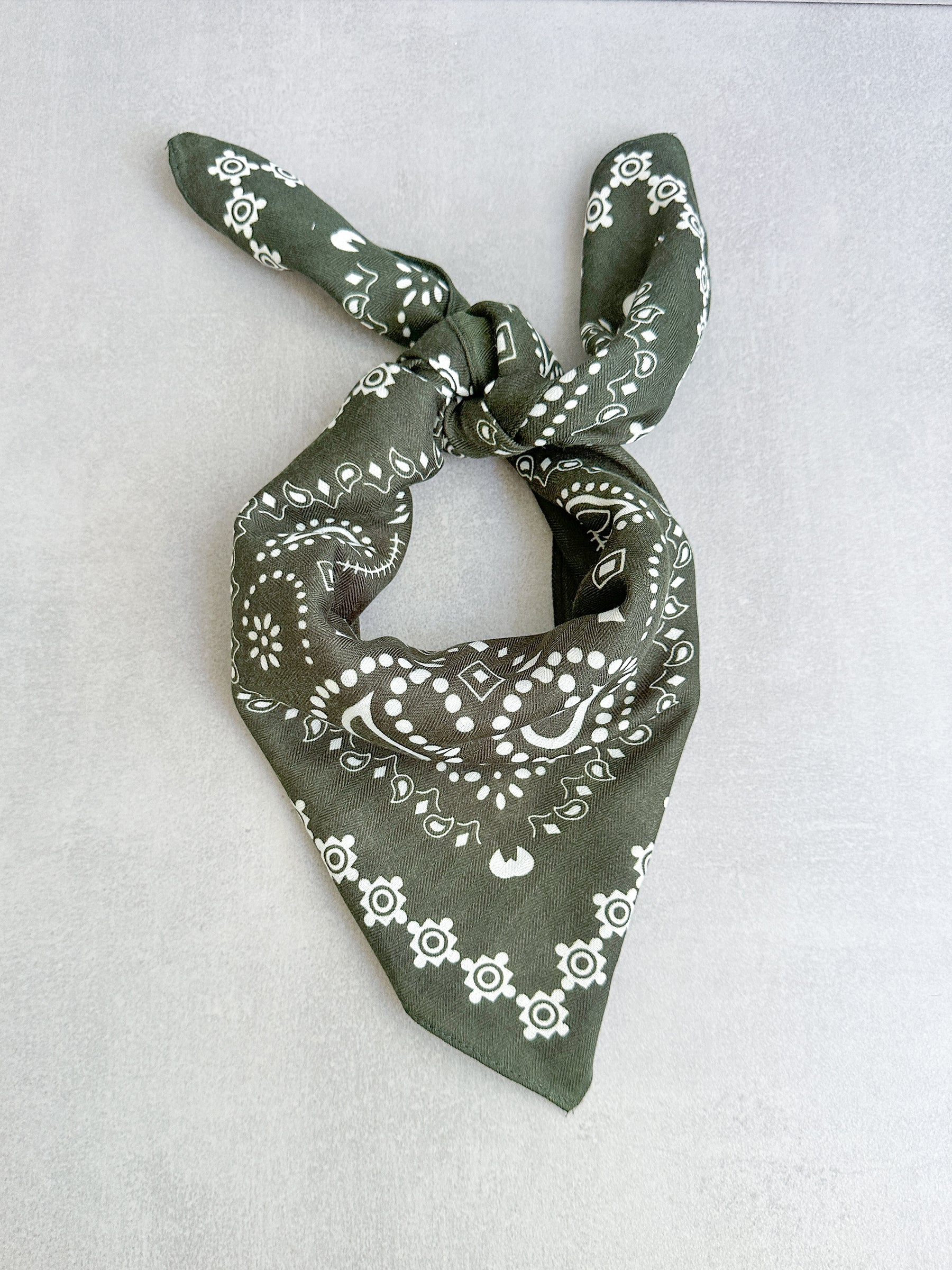 Paisley scarf