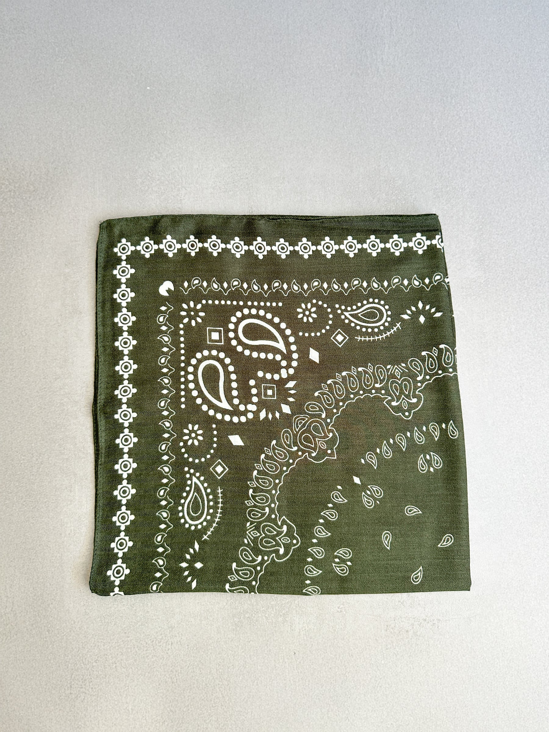 Paisley scarf