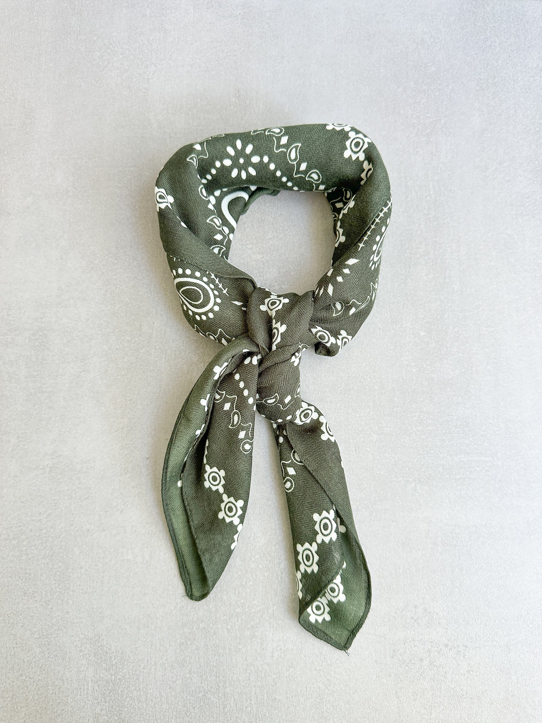 Paisley scarf