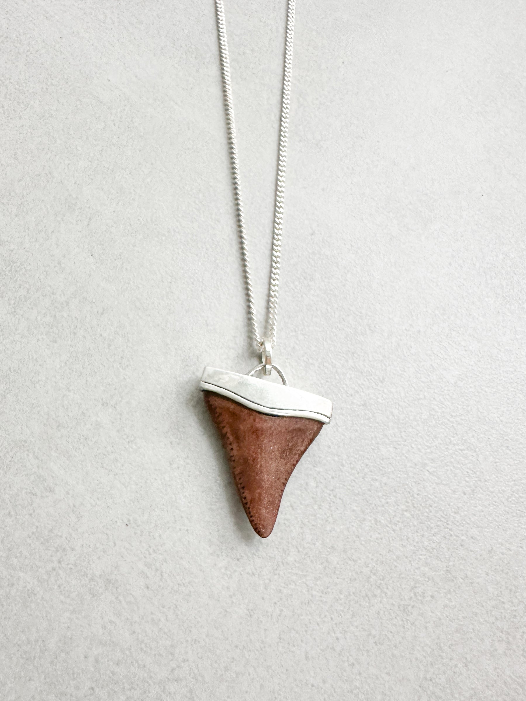 Horn necklace