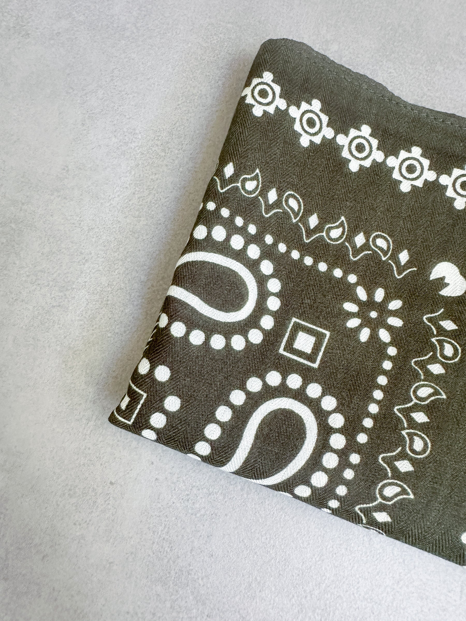 Paisley scarf