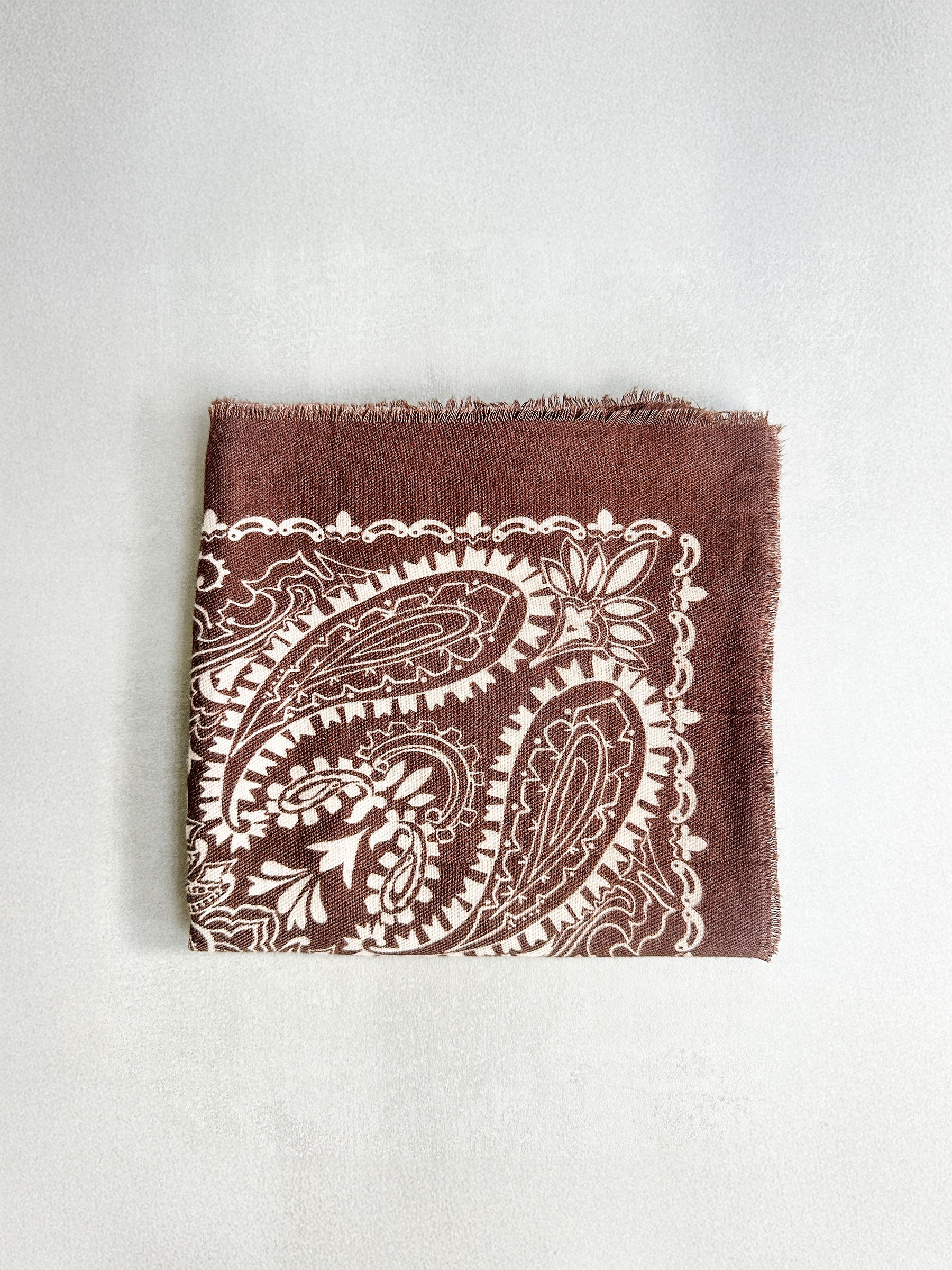 Brown Paisley scarf